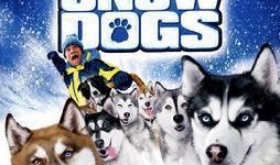 冰狗任务在线观看,在线观看，揭秘极地冒险之旅