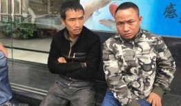 深圳表哥的最新爆料,最新爆料背后的惊人真相