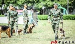 训犬教练leo爆料视频