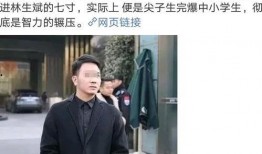 林生斌偷税漏税最新爆料,最新爆料揭露惊人内幕