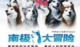 南极大冒险免费在线观看,免费在线观看，探索极地奇观之旅