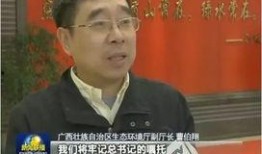 广西表哥爆料新闻报道,揭开当地新闻背后的真相