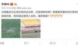 记者李旋最新爆料,揭秘娱乐圈最新热点事件