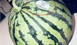 山西太原网红吃瓜,揭秘山西美食圈的热辣故事