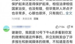 正义发声爆料视频,揭秘视频背后的真相与启示