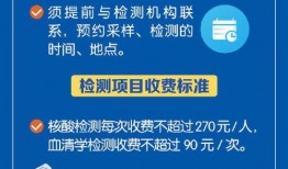 热点爆料核酸检测视频,揭秘高效检测背后的故事