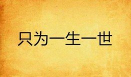 一生一世在线观看免费,穿越时空的永恒爱情