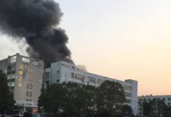 义乌火灾最新爆料荷叶塘,荷叶塘火灾事件深度解析