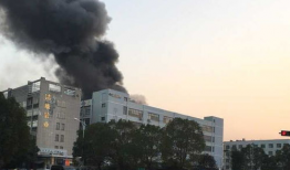 义乌火灾最新爆料荷叶塘,荷叶塘火灾事件深度解析