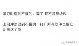 守候吃瓜知乎小说免费阅读,揭秘知乎小说免费阅读背后的故事