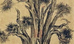 宝军女友被爆料视频,真相与争议