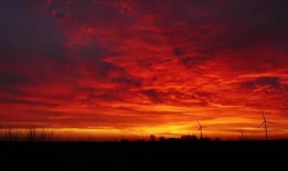 晚霞爆料结局视频播放,结局视频揭秘，悬念揭晓！