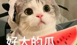 网红吃瓜网站推荐一下,热门事件深度解析，带你领略网络热点背后的真相