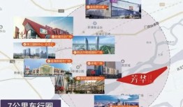 大鲜粉丝爆料怎么做的视频,视频教你轻松学会做美味粉丝