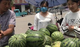 定远网红吃瓜事件真相,揭秘背后真相与反思