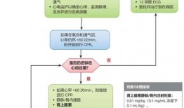 汽车定损爆料流程视频教程,视频教程精华概述