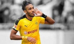 沙曼足球爆料视频最新下载,独家揭秘足坛幕后风云