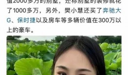 樊小慧爆料视频大全,揭秘背后真相与争议