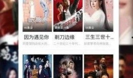 网红夫妇爆料视频播放下载