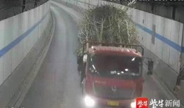 扬子江隧道爆料视频最新,揭秘工程背后的故事与挑战