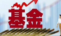 西安基金最新爆料消息,揭秘项目进展与市场动态