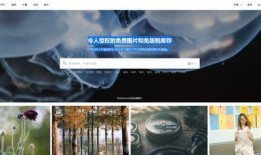 娱乐爆料视频素材网站,独家视频素材网站大起底