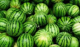 定远网红吃瓜事件真相,揭秘背后真相与反思