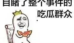 吃瓜鹅娱乐速报鸡你太美,吃瓜鹅娱乐速报下的网络热词解析