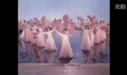 蝶恋花复仇在线观看,在线揭秘爱恨交织的复仇传奇