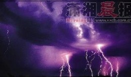 重庆大雨网最新爆料新闻,最新爆料揭示城市抗洪举措与受灾情况