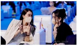 张小斐天涯爆料黄晓明视频,揭秘娱乐圈背后的真相