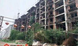 石家庄藁城最新爆料,揭秘城市变迁与发展新动向