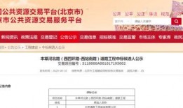 长春拍卖爆料信息最新,揭秘神秘拍品背后的故事