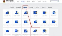 通行证最新爆料信息怎么写,揭秘政策调整与出行新规
