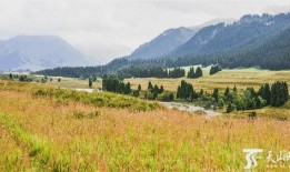 新疆景区爆料事件最新,揭秘背后真相与游客权益保护挑战