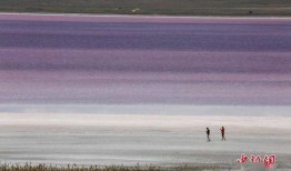 娱乐圈爆料博主四字ID,揭秘明星幕后故事