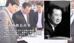 万达员工爆料总裁视频,员工爆料背后的真相与反思