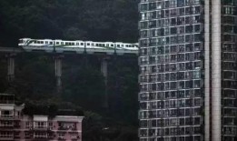 重庆涂先生最新爆料,揭秘XX事件背后真相