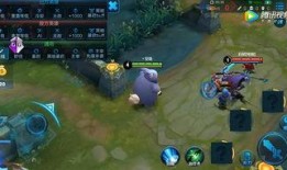 王者人鱼英雄爆料视频大全,揭秘神秘水下世界