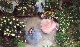 蝶恋花复仇在线观看,在线揭秘爱恨交织的复仇传奇