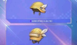 载具皮肤最新爆料删除了,最新改动揭秘，哪些皮肤被删除？