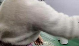 工厂小姐姐爆料视频在线,揭秘工厂生产线背后的故事