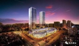 郑州建业最新爆料,揭秘球队新阵容与备战计划