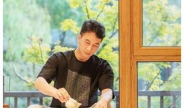 林生斌偷税漏税最新爆料,最新爆料揭露惊人内幕