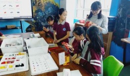 河南实验中学爆料新闻,揭秘校园内幕事件