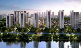 龙湖新溪爆料新闻视频,揭秘神秘项目背后的故事