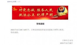 长春拍卖爆料信息最新,揭秘神秘拍品背后的故事