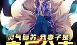 实锤爆料小说排行榜最新