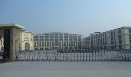 河南实验中学爆料新闻,揭秘校园内幕事件