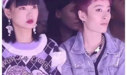 娱乐圈内日常大爆料,日常大爆料背后的真相与内幕